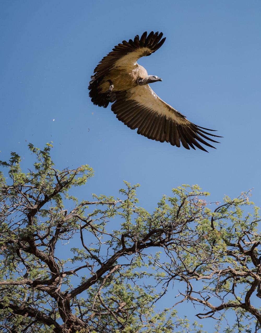 Namibia