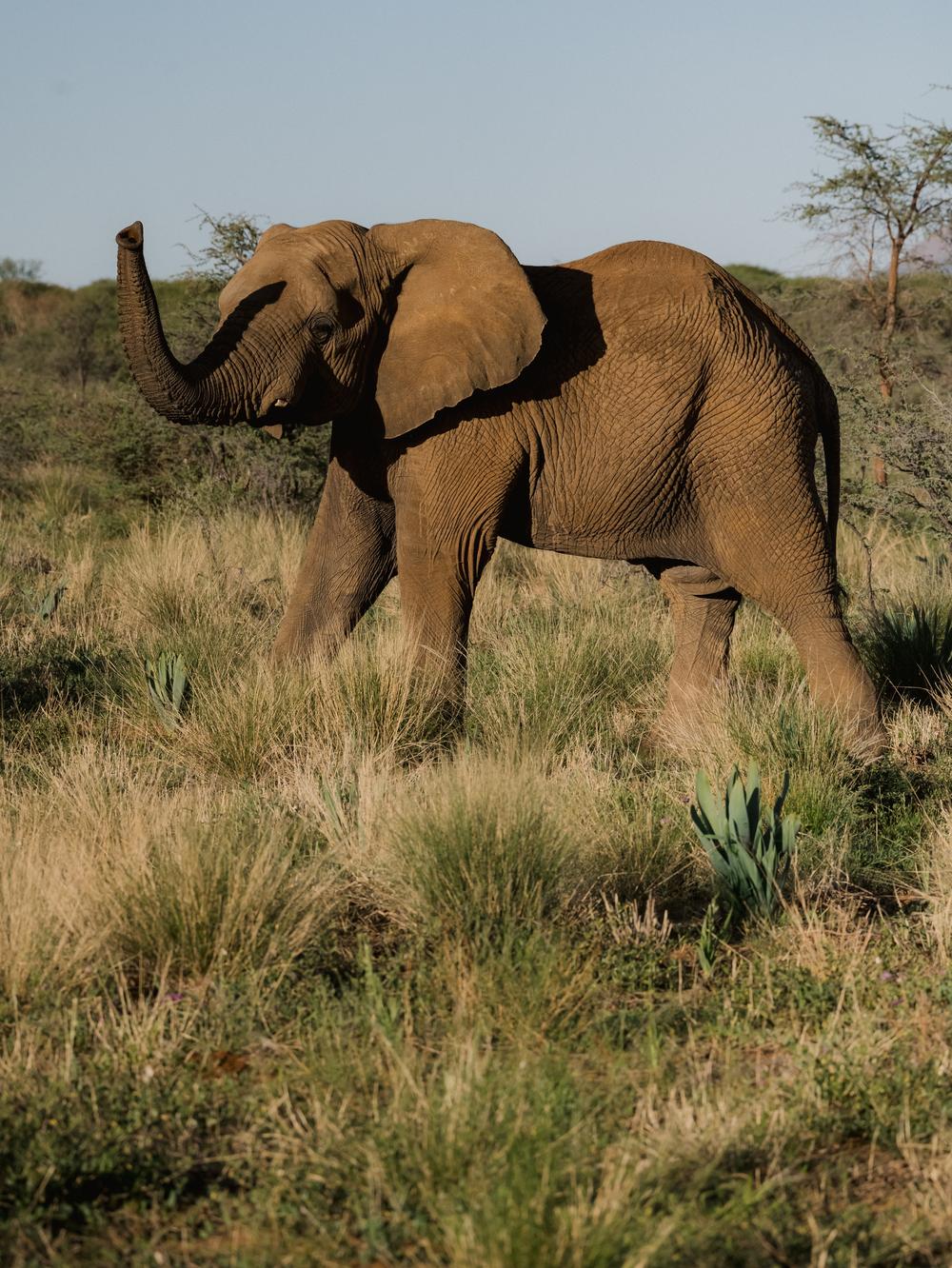 Namibia