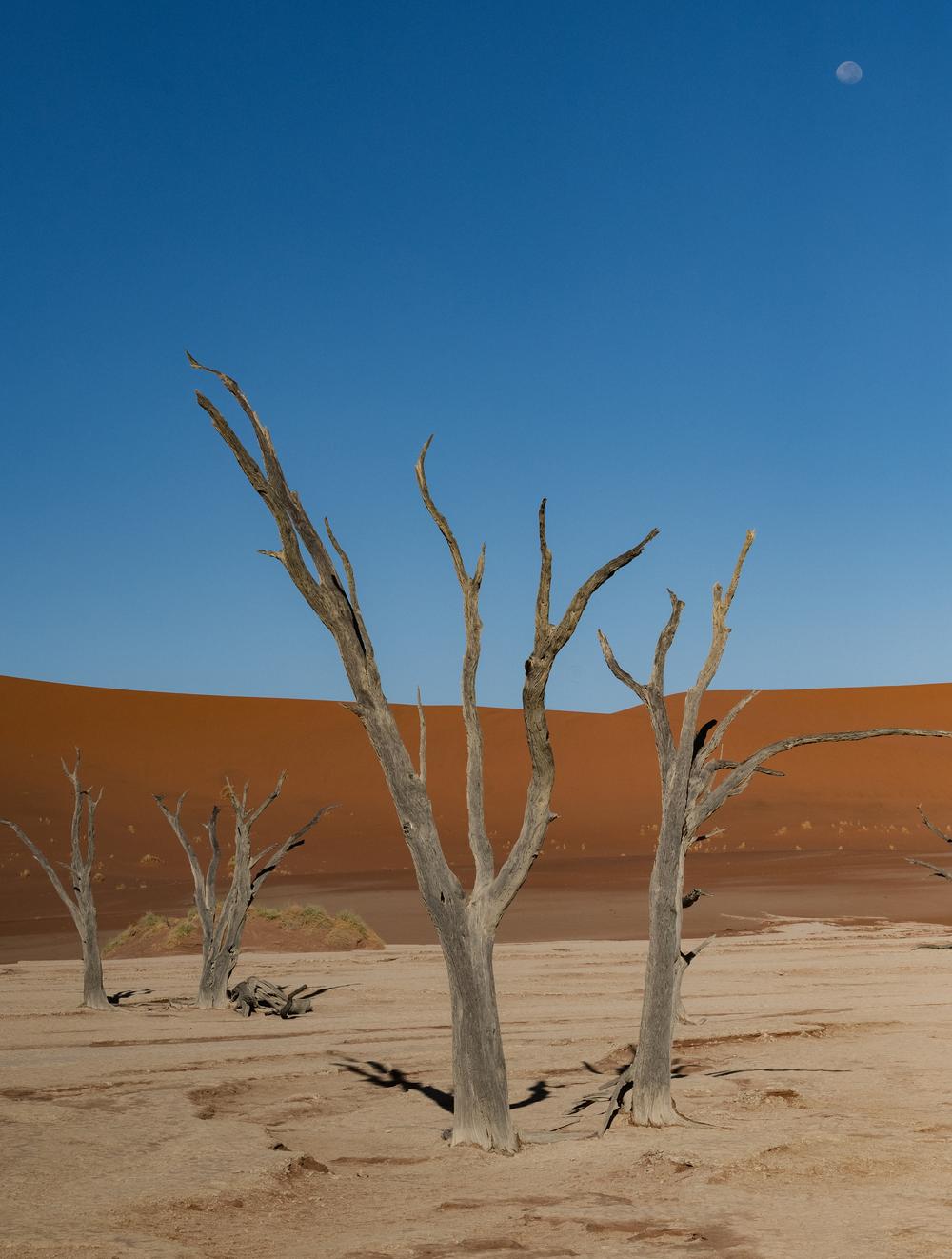 Namibia