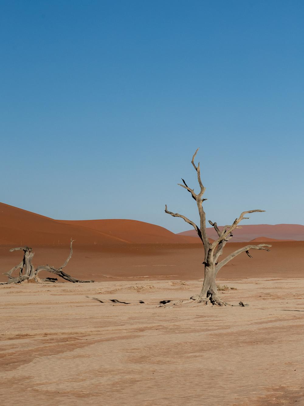 Namibia