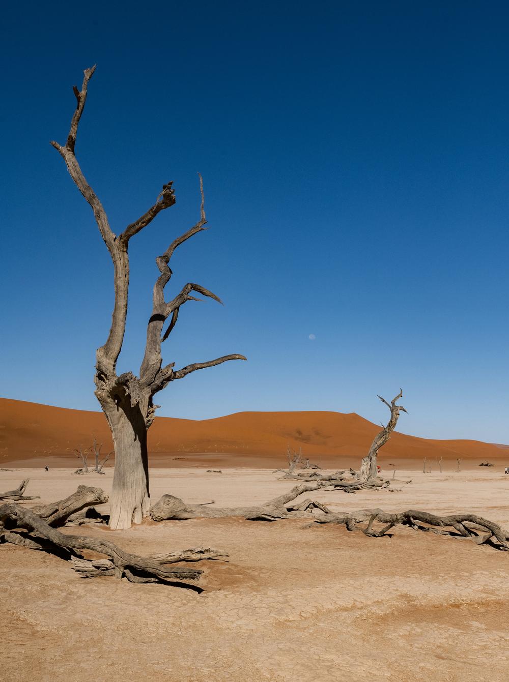 Namibia