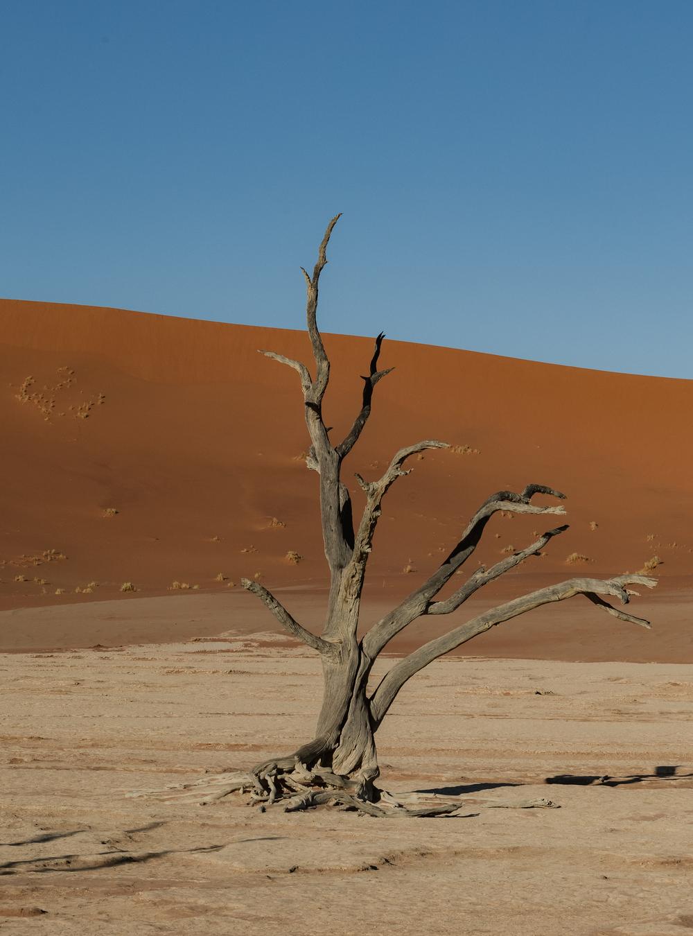 Namibia