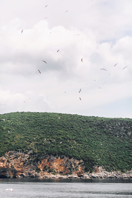 Montenegro | Wedding day Ilya & Katya