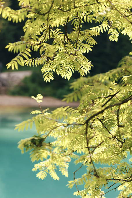 Wedday A&O Lago di Braies