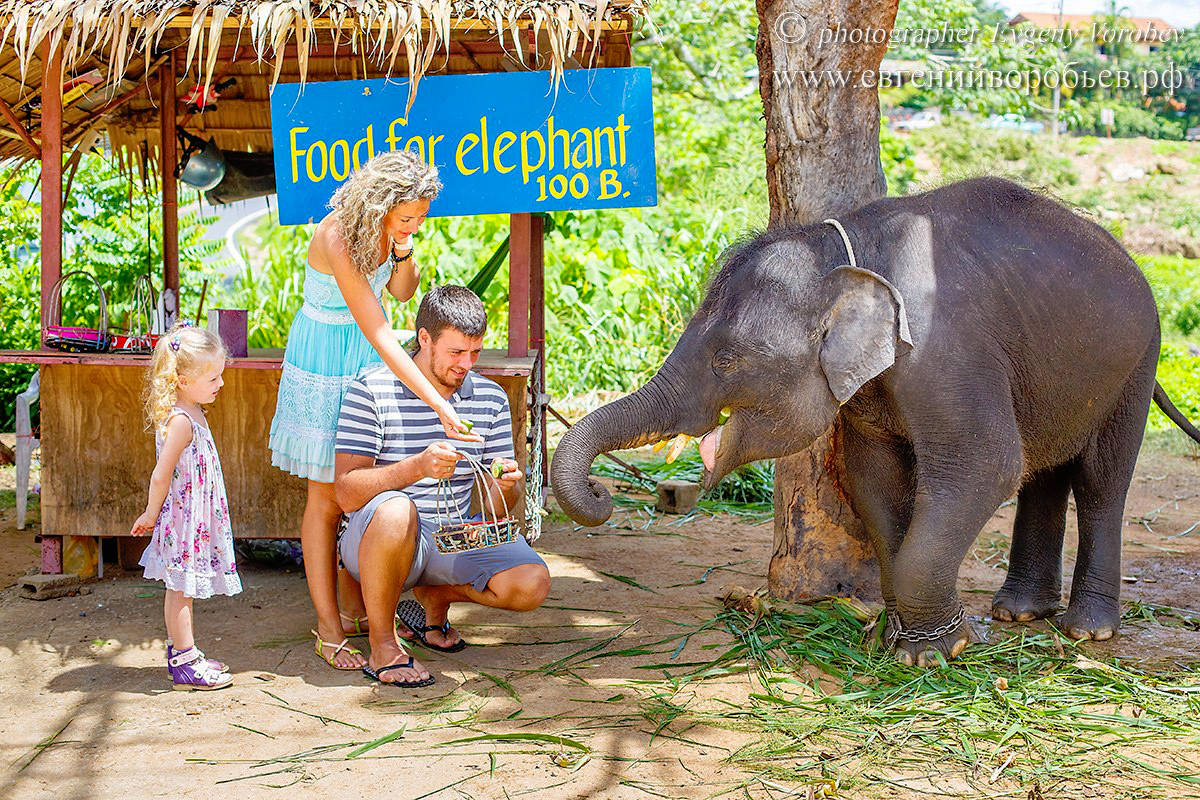 семейная детская фотосессия фотограф Пхукет phuket пляж море песок пальмы Таиланд слоненок слон
