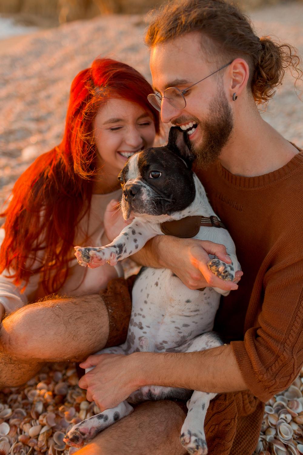 Mermaid, Prince, Dog