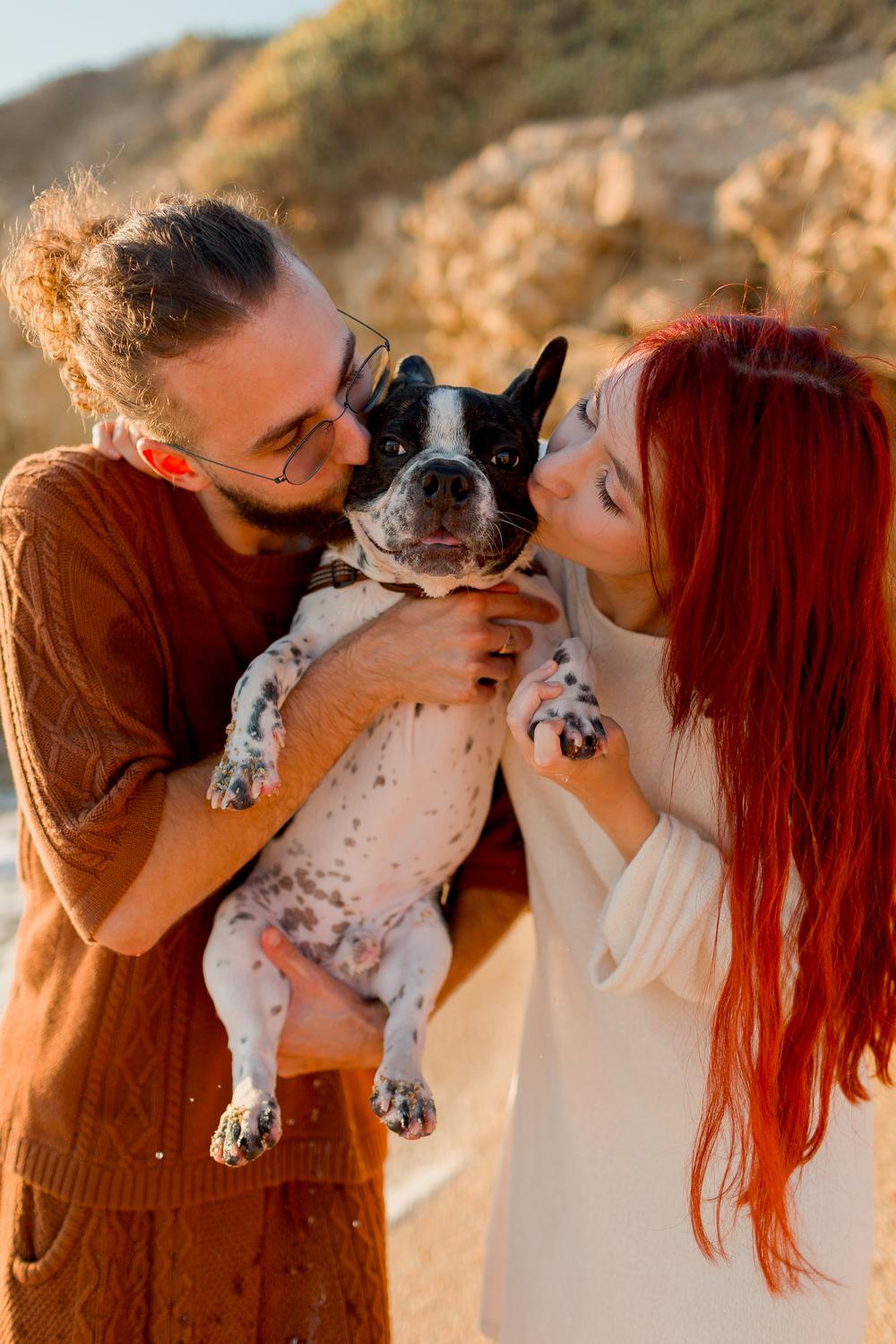 Mermaid, Prince, Dog