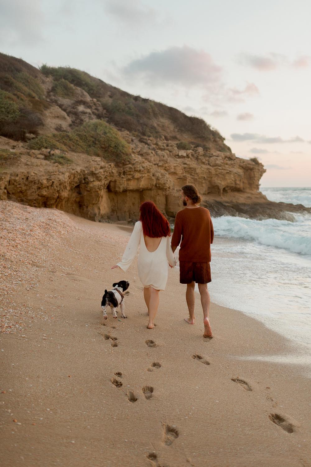 Mermaid, Prince, Dog