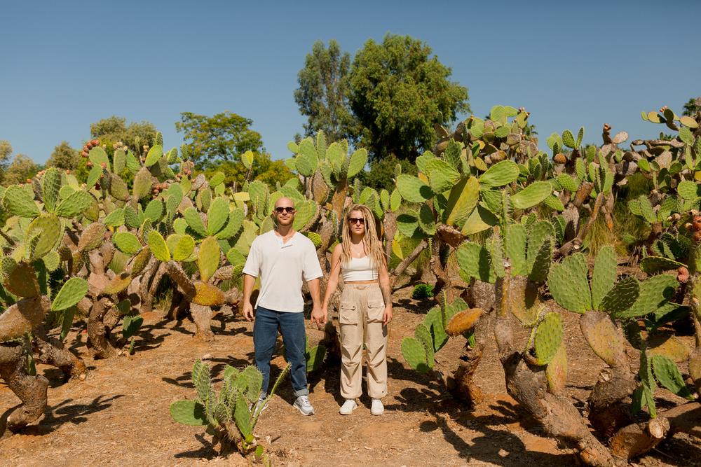 SKATEBOARDS AND CACTUS