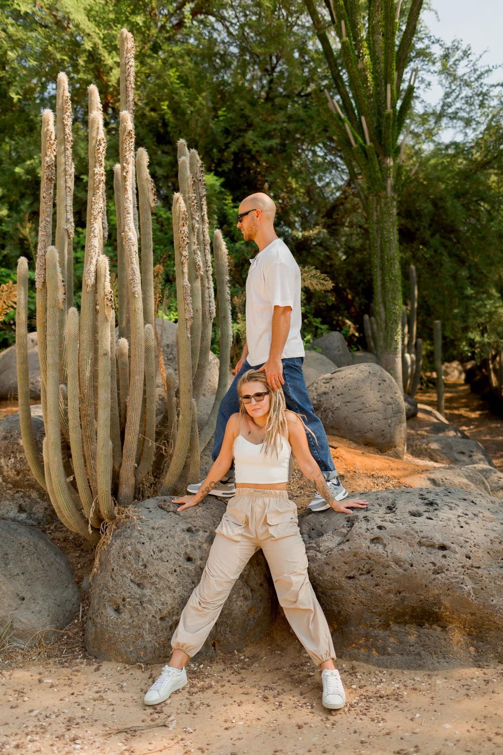 SKATEBOARDS AND CACTUS