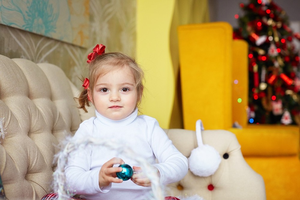 НОВОГОДНИЙ ФОТОПРОЕКТ 2017-2018