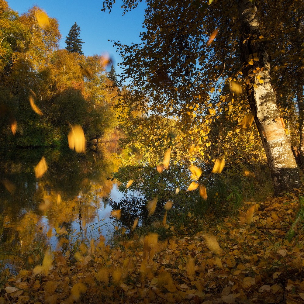 Звуки осени