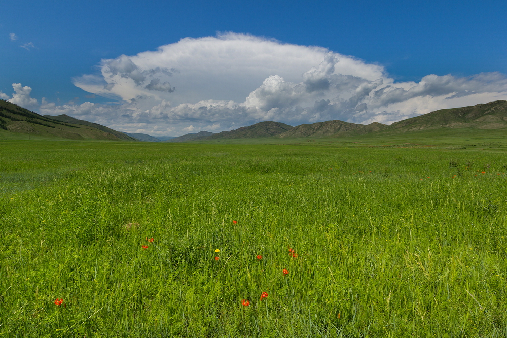 Mongolia: Landscapes