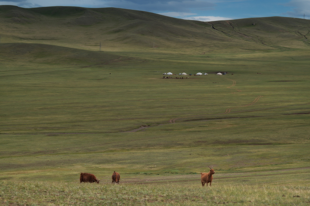 Mongolia: Landscapes