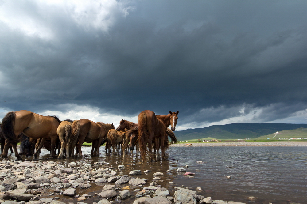 Mongolia: Landscapes