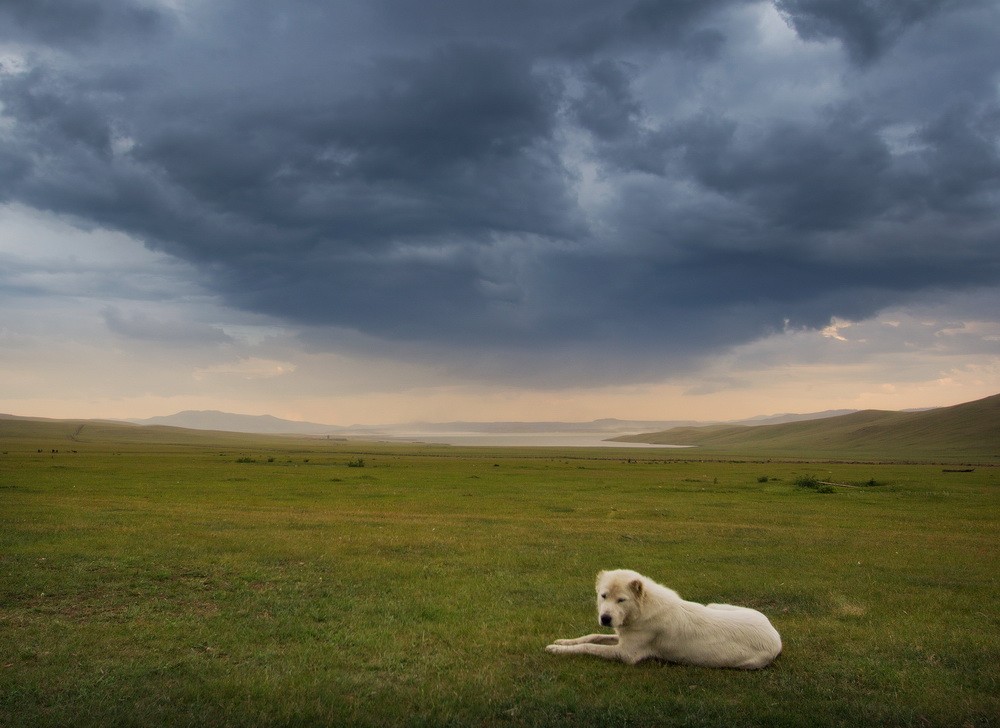 Mongolia: Landscapes