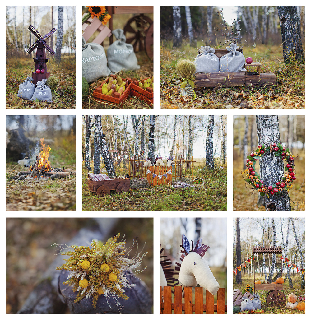 Осенний фотопроект 2014