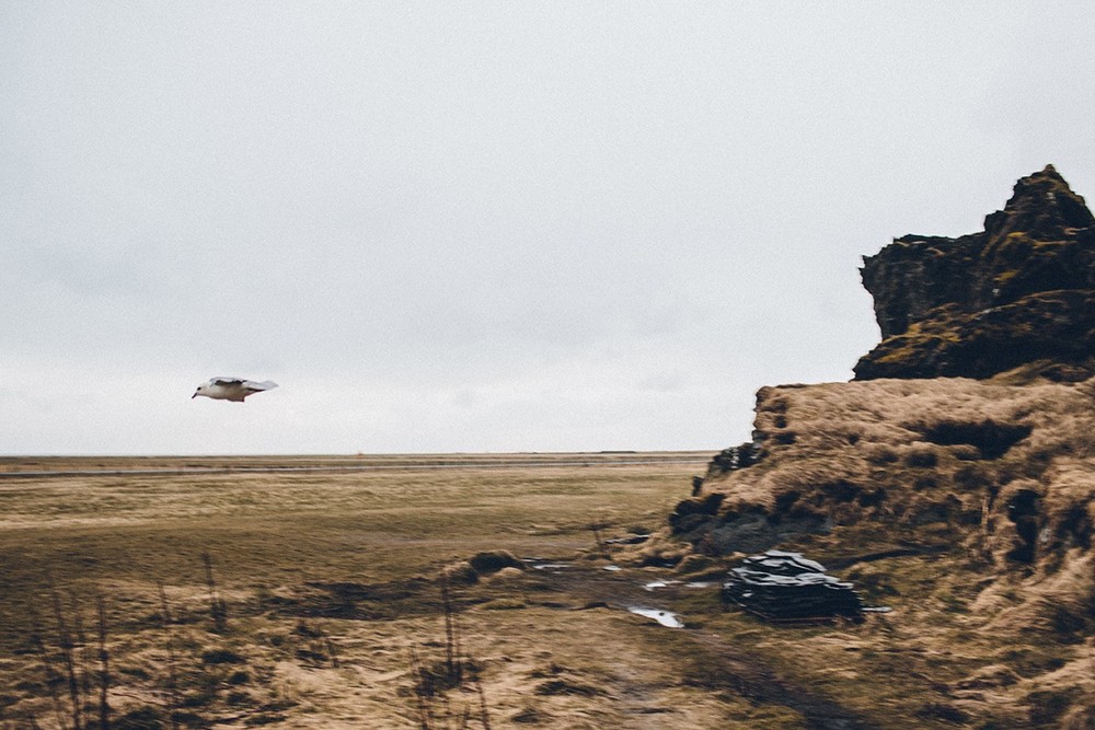 Jacob & Mari. Iceland story