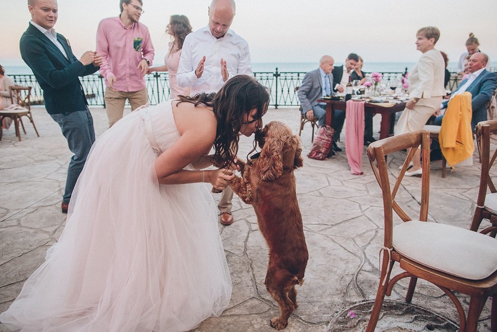 Kostya & Sasha. Wedding