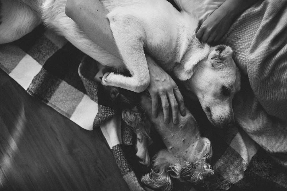 Alex & Liana and their pets