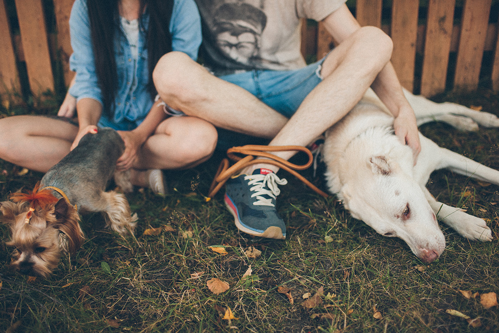 Alex & Liana and their pets