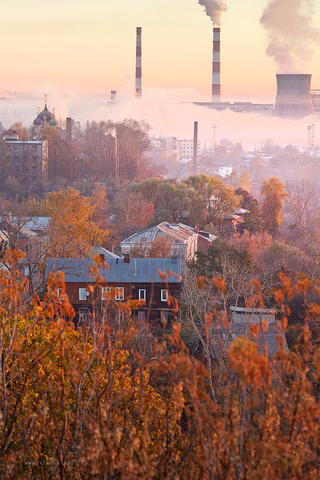 Морозное утро 