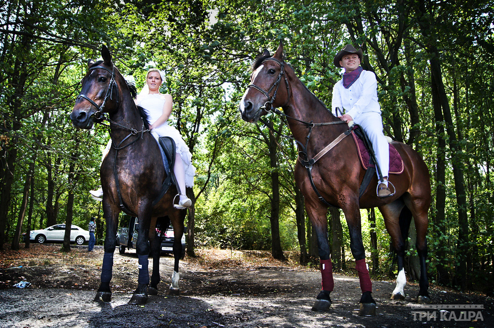Свадебная фотосессия на лошадях