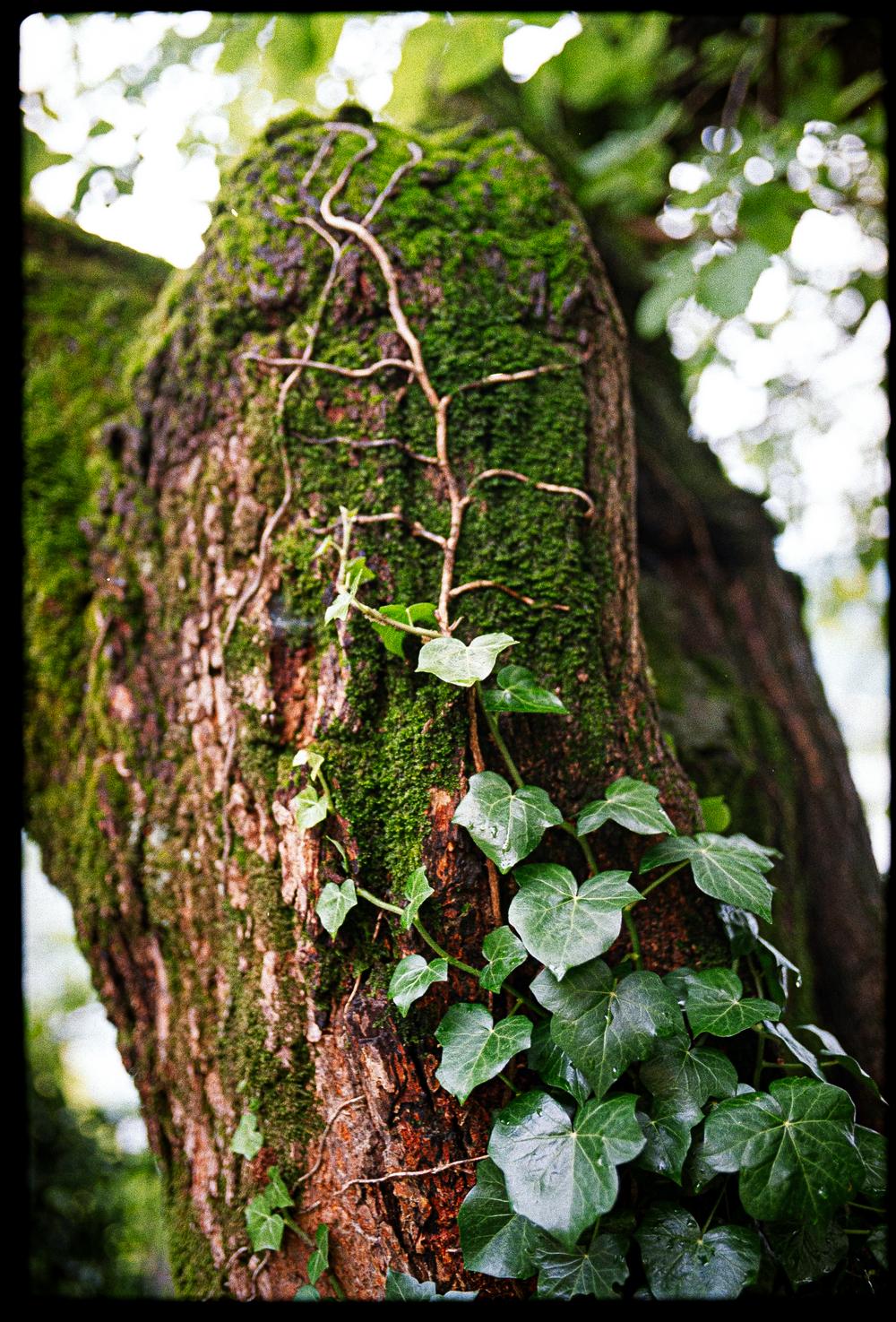 Spenser+Kendra|wedding