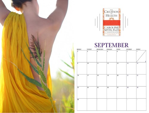 Self-healing reading calendar-2019