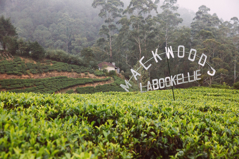 SRI LANKA