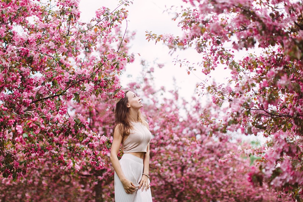 SPRING BLOSSOM 