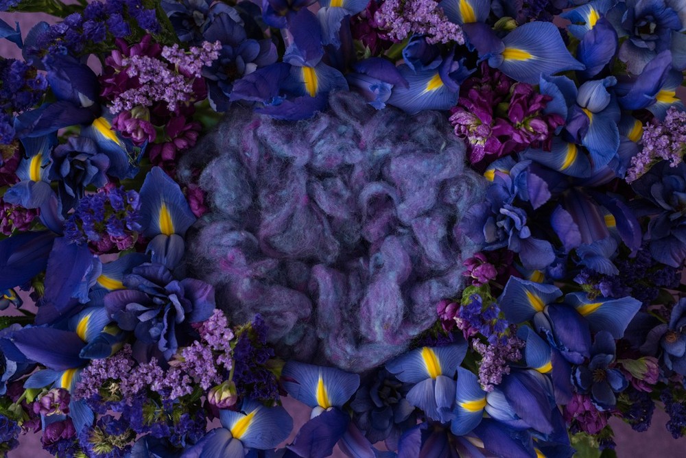 digital файлы