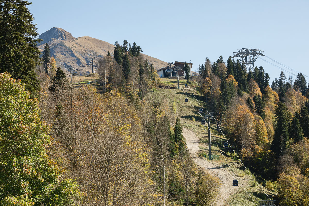 Спартакиада 