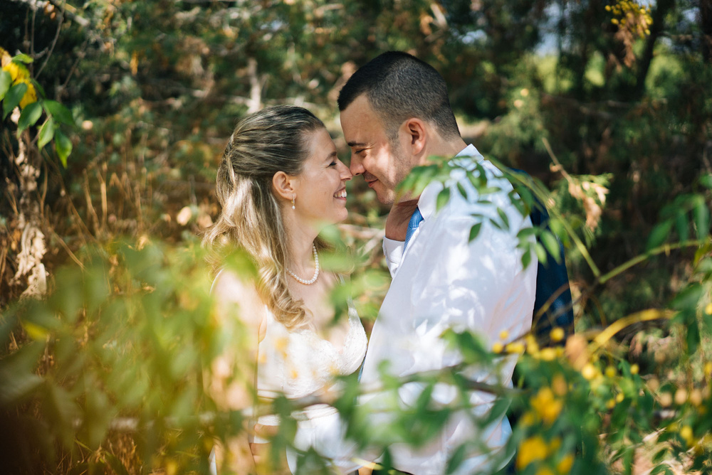 DIMA + MAYA