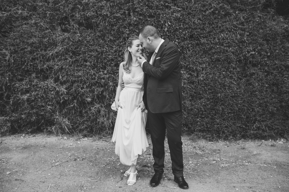 DIMA + MAYA