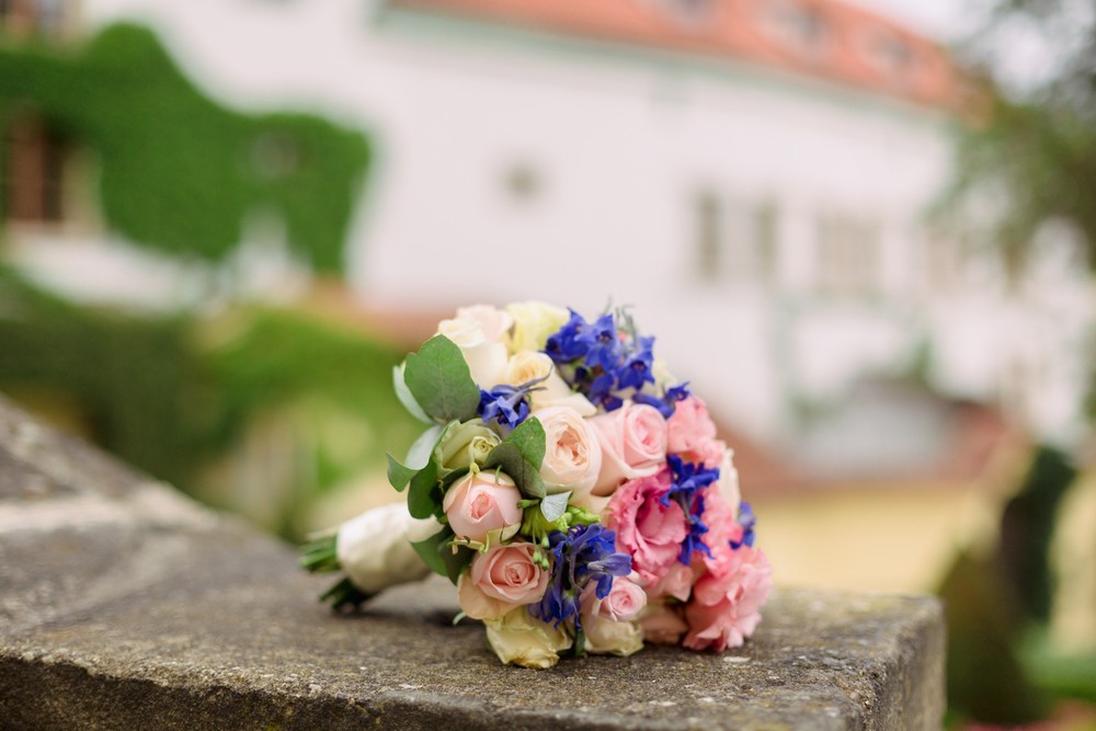 Irina&Alexander(Hluboka nad Vltavou -Prague)